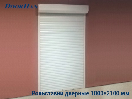 Рольставни на двери 1000×2100 мм в Владимире от 34993 руб.