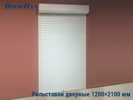 Рольставни на двери 1200×2100 мм в Владимире от 38546 руб.